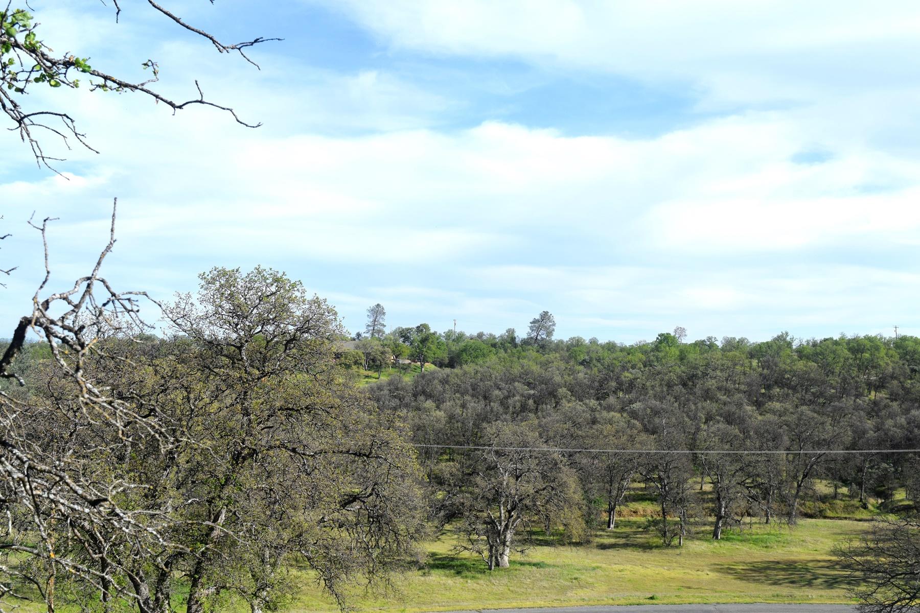 Quail Ridge Road Cottonwood, CA 96022 - Photo 11 of 18 a view of a lake with houses in back