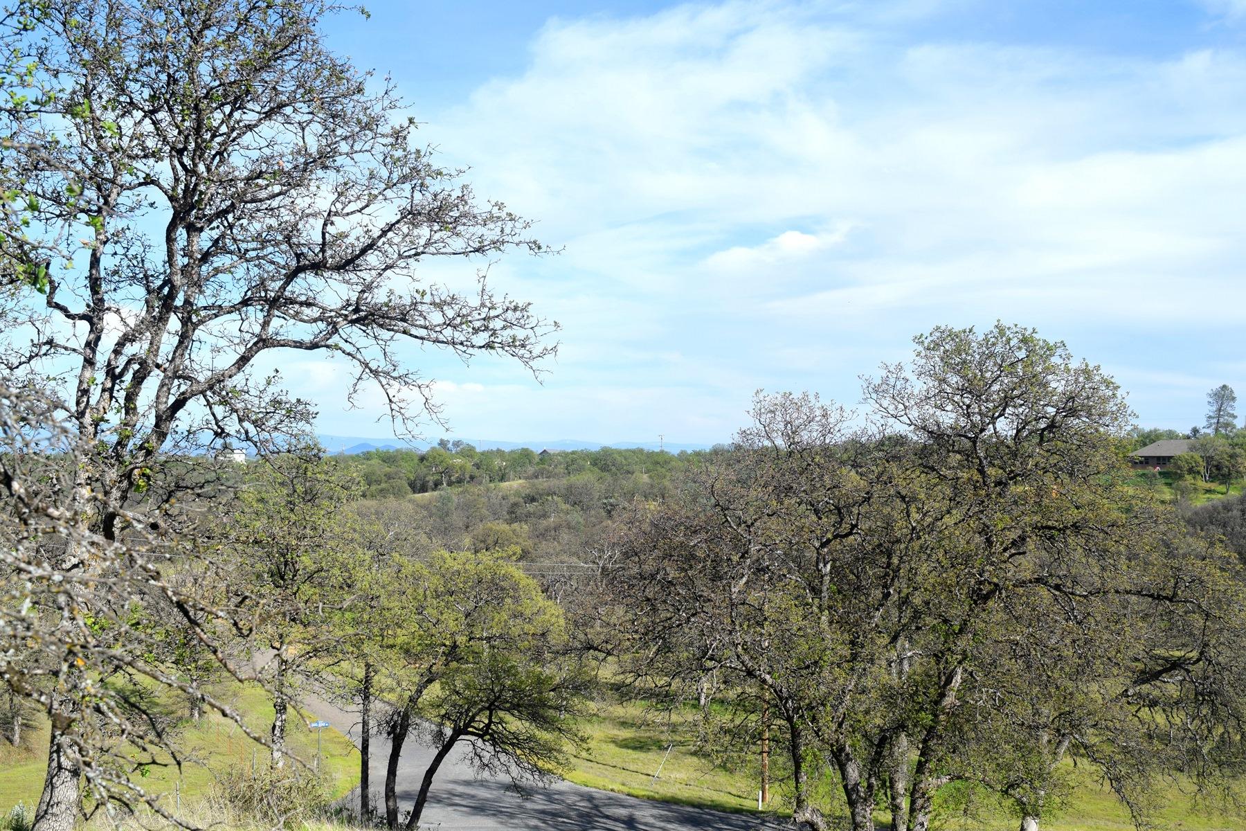 Quail Ridge Road Cottonwood, CA 96022 - Photo 12 of 18 a view of a field of an tree