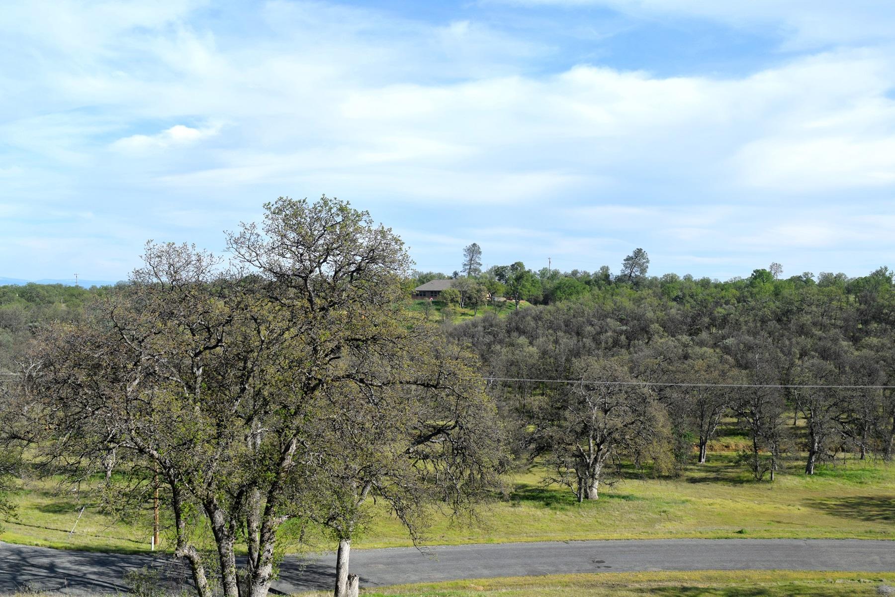 Quail Ridge Road Cottonwood, CA 96022 - Photo 13 of 18 a view of a lake with houses in the back