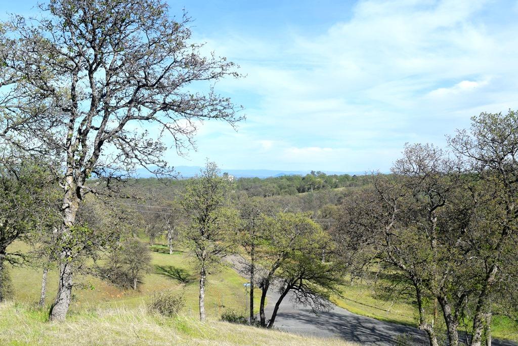 Quail Ridge Road Cottonwood, CA 96022 - Photo 14 of 18 a view of a yard with large trees