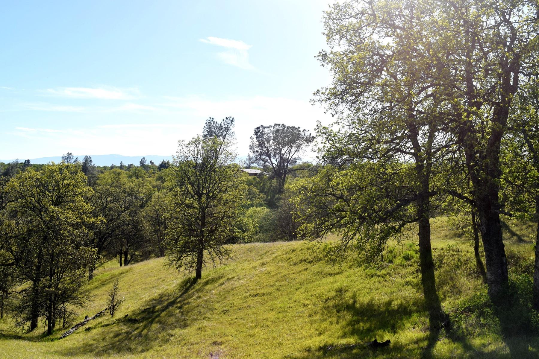 Quail Ridge Road Cottonwood, CA 96022 - Photo 16 of 18 a view of a yard