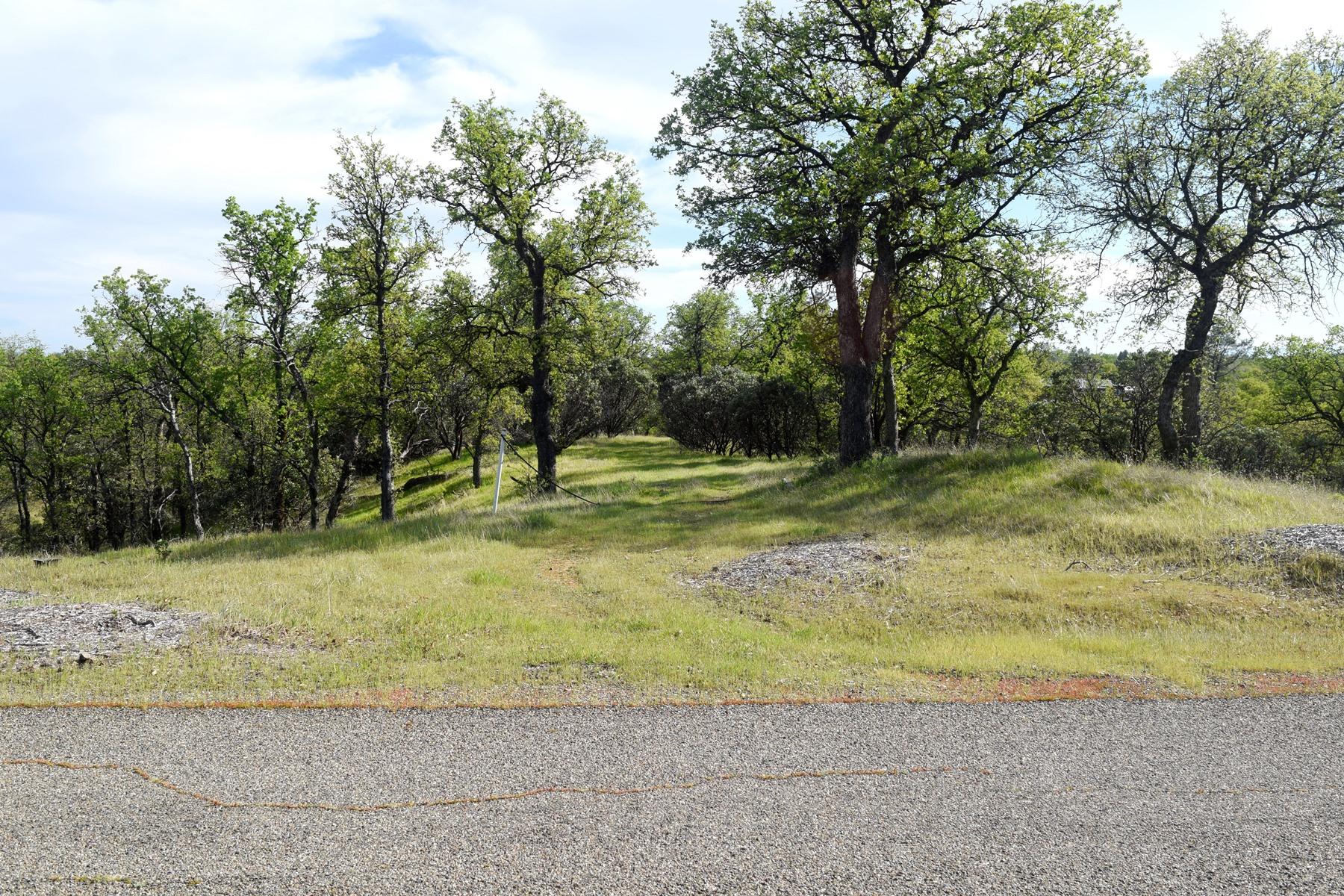 Quail Ridge Road Cottonwood, CA 96022 - Photo 18 of 18 a view of outdoor space with trees all around