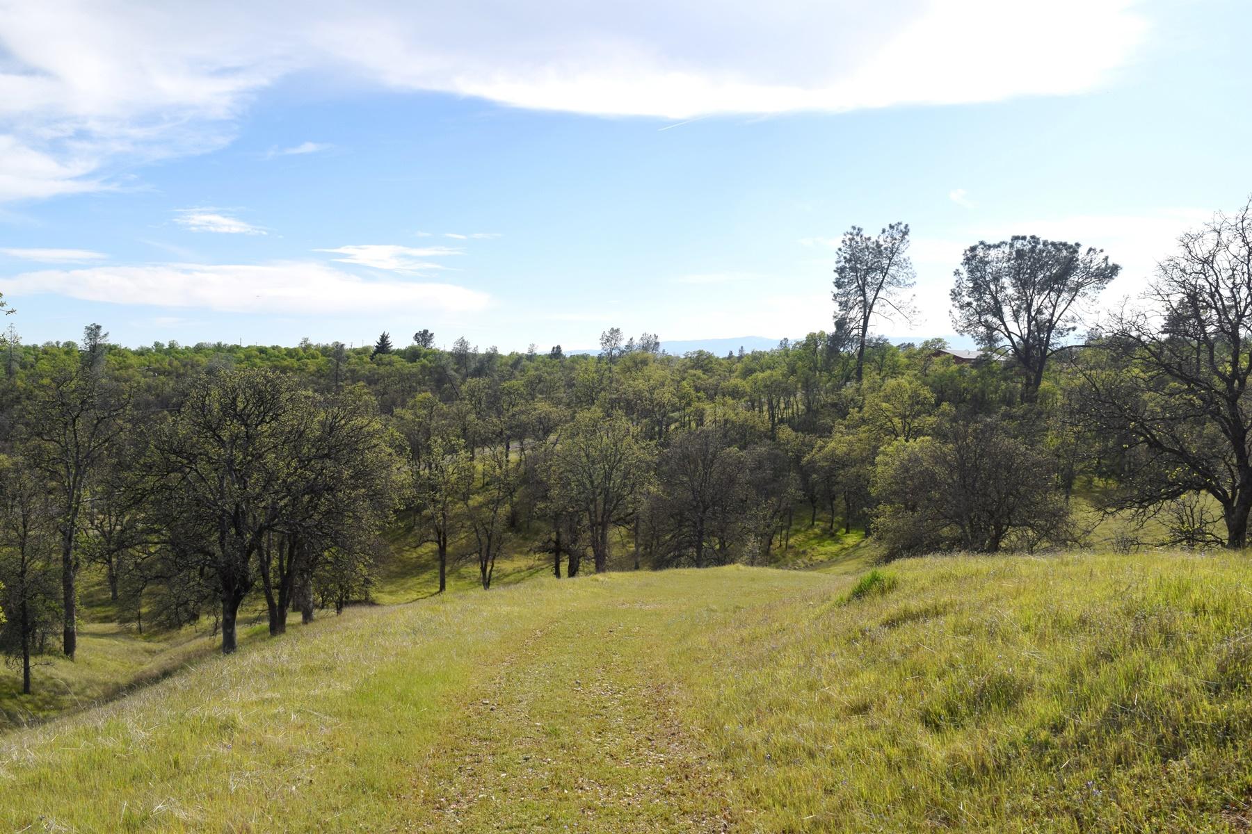 Quail Ridge Road Cottonwood, CA 96022 - Photo 2 of 18 a view of outdoor space and yard