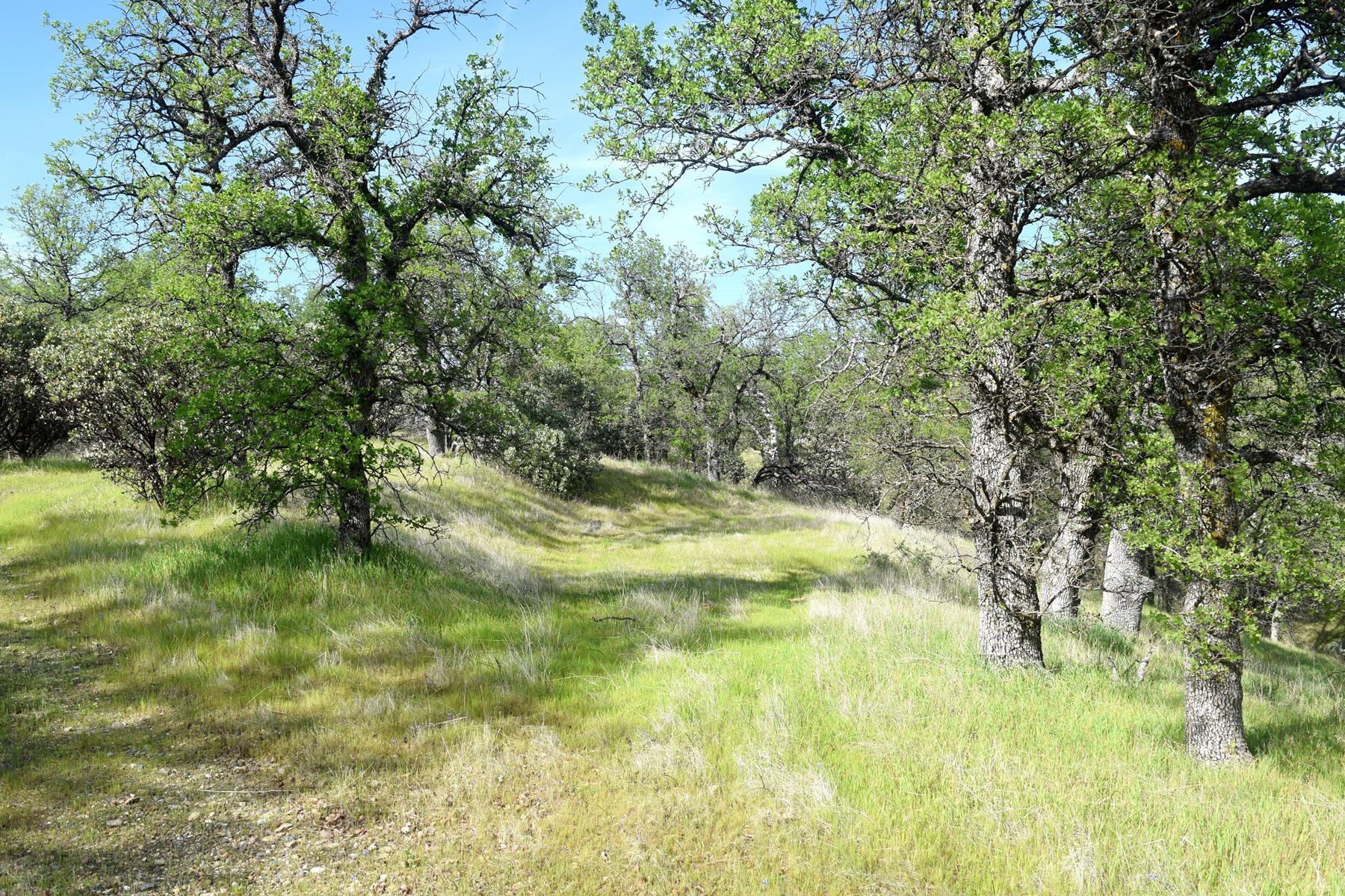 Quail Ridge Road Cottonwood, CA 96022 - Photo 6 of 18 a view of yard with green space