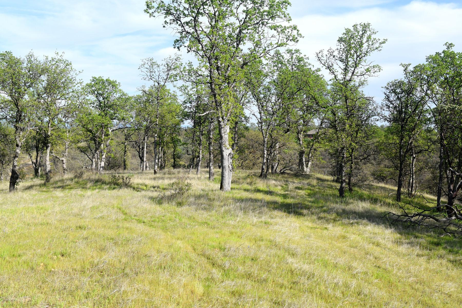 Quail Ridge Road Cottonwood, CA 96022 - Photo 9 of 18 a view of a yard with trees