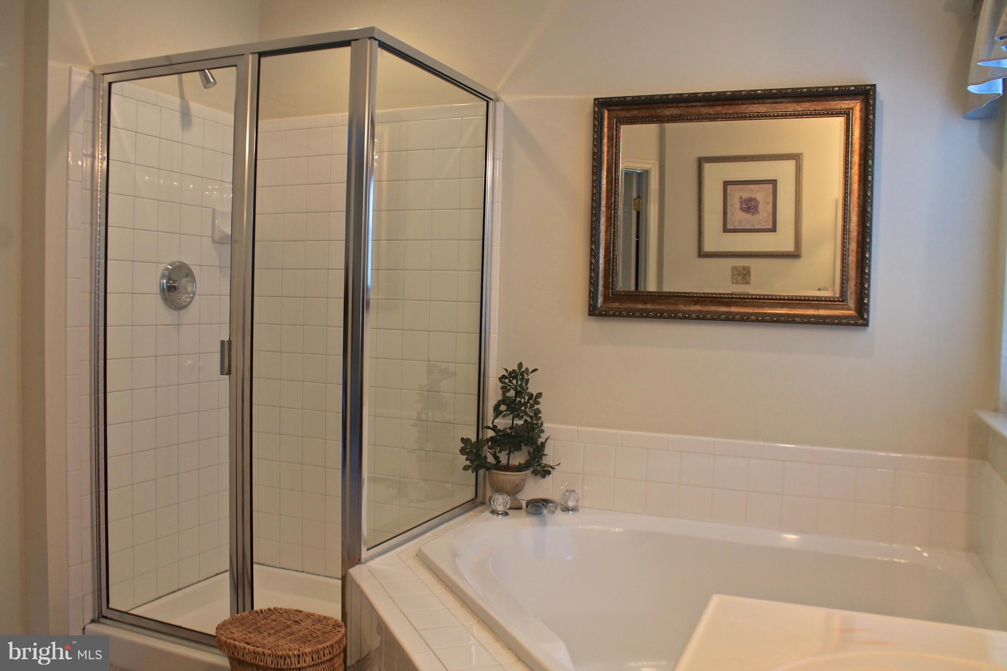 426 Spry Island Road Joppa, MD 21085 - Photo 13 of 23 Bath (Master)