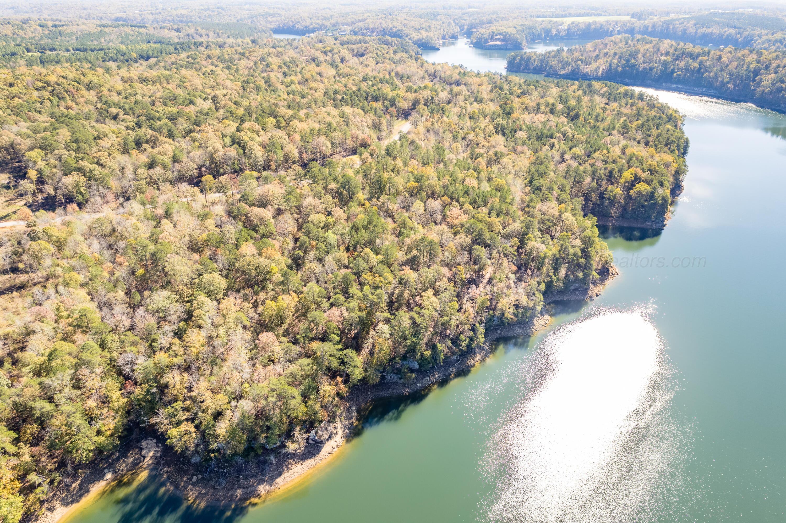 Lot 2 Ryan's View Cullman, AL 35057 - Photo 3 of 6 Aerial