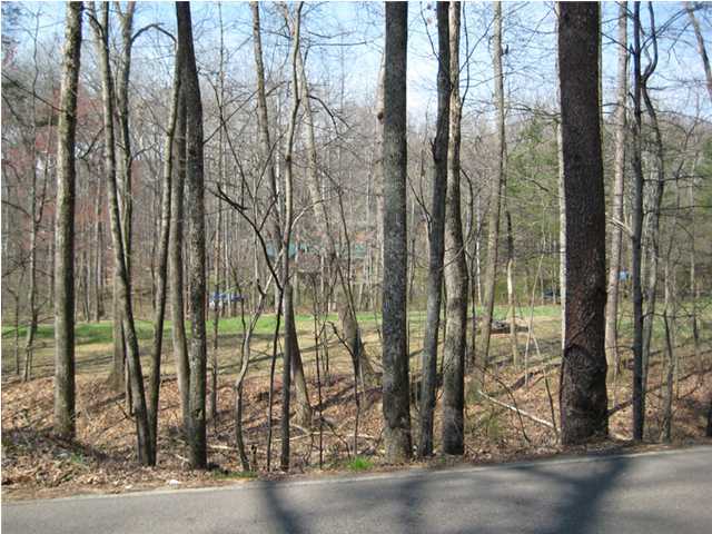 328 Pitts Road Hixson, TN 37343 - Photo 1 of 1 Primary Photo