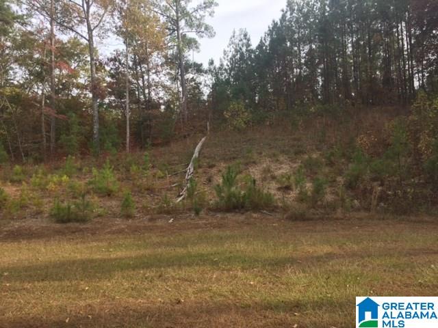 855 Reed Creek Drive Shelby, AL 35143 - Photo 9 of 14