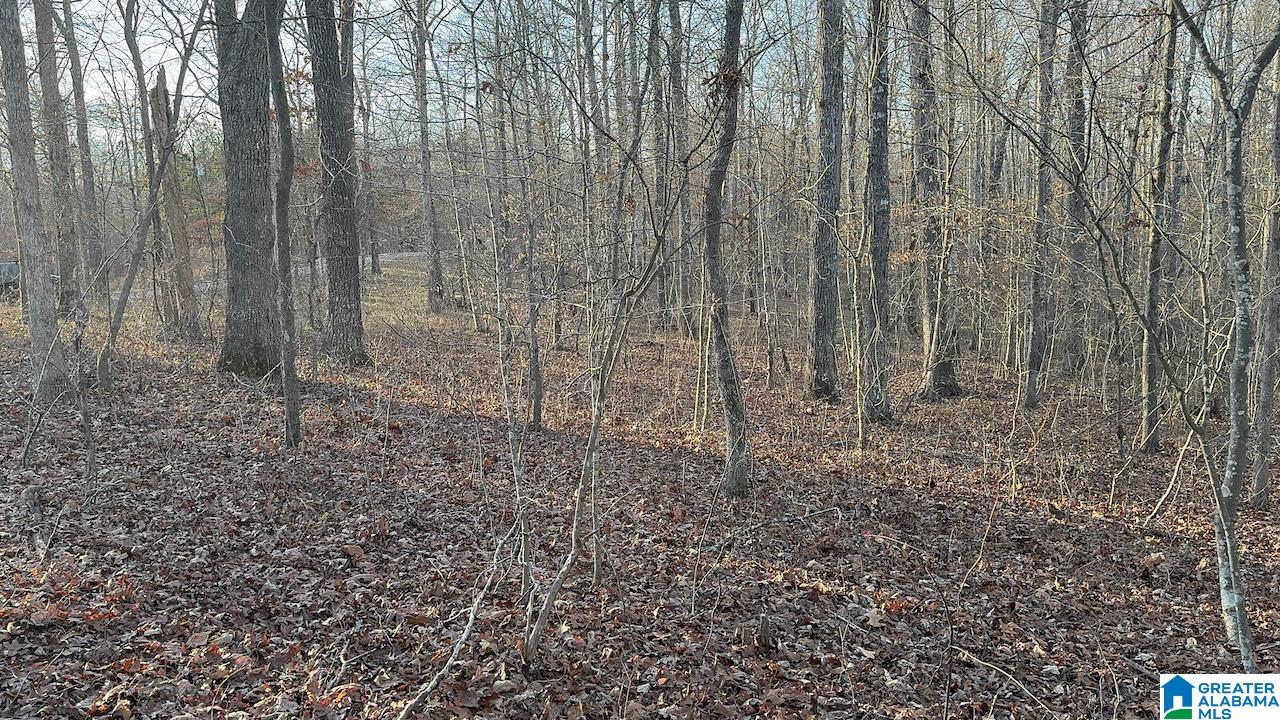 0 Edgewater Bend, Unit 29 Double Springs, AL 35553 - Photo 6 of 18