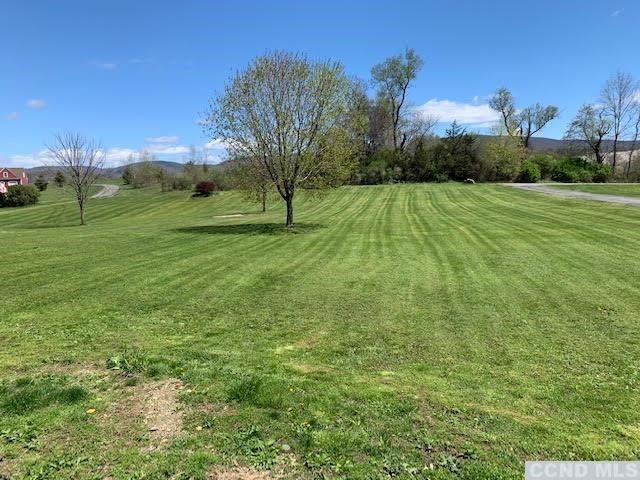 57 Waldorf Ridge Road Copake, NY 12516 - Photo 3 of 22 a view of a field with grass and trees