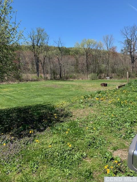 57 Waldorf Ridge Road Copake, NY 12516 - Photo 5 of 22 a view of a lush green outdoor space with a lake view