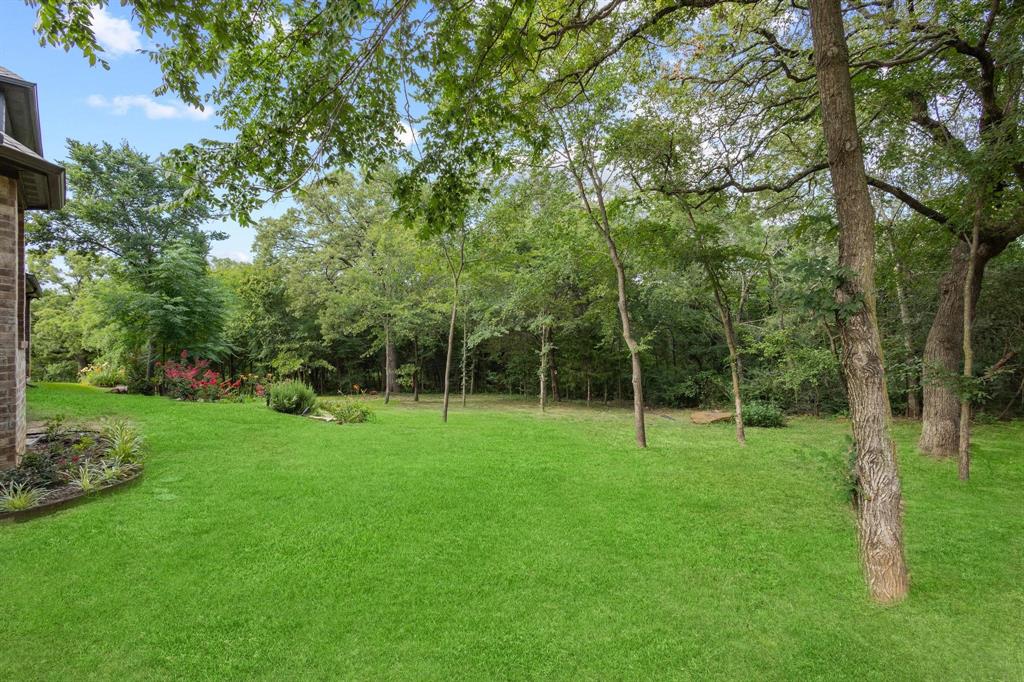 1090 Stone Trail Lane Cross Roads, TX 76227 - Photo 29 of 38