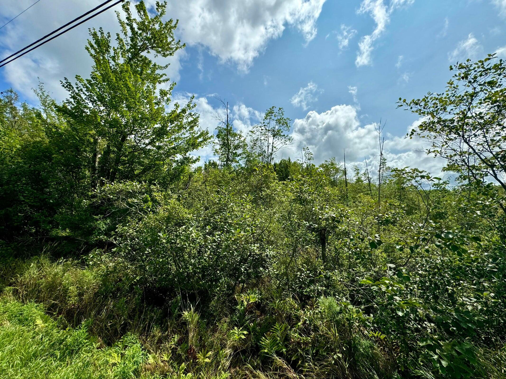 Lot # Hope Road Palmyra, ME 04965 - Photo 5 of 6 20240821174358272958000000-o