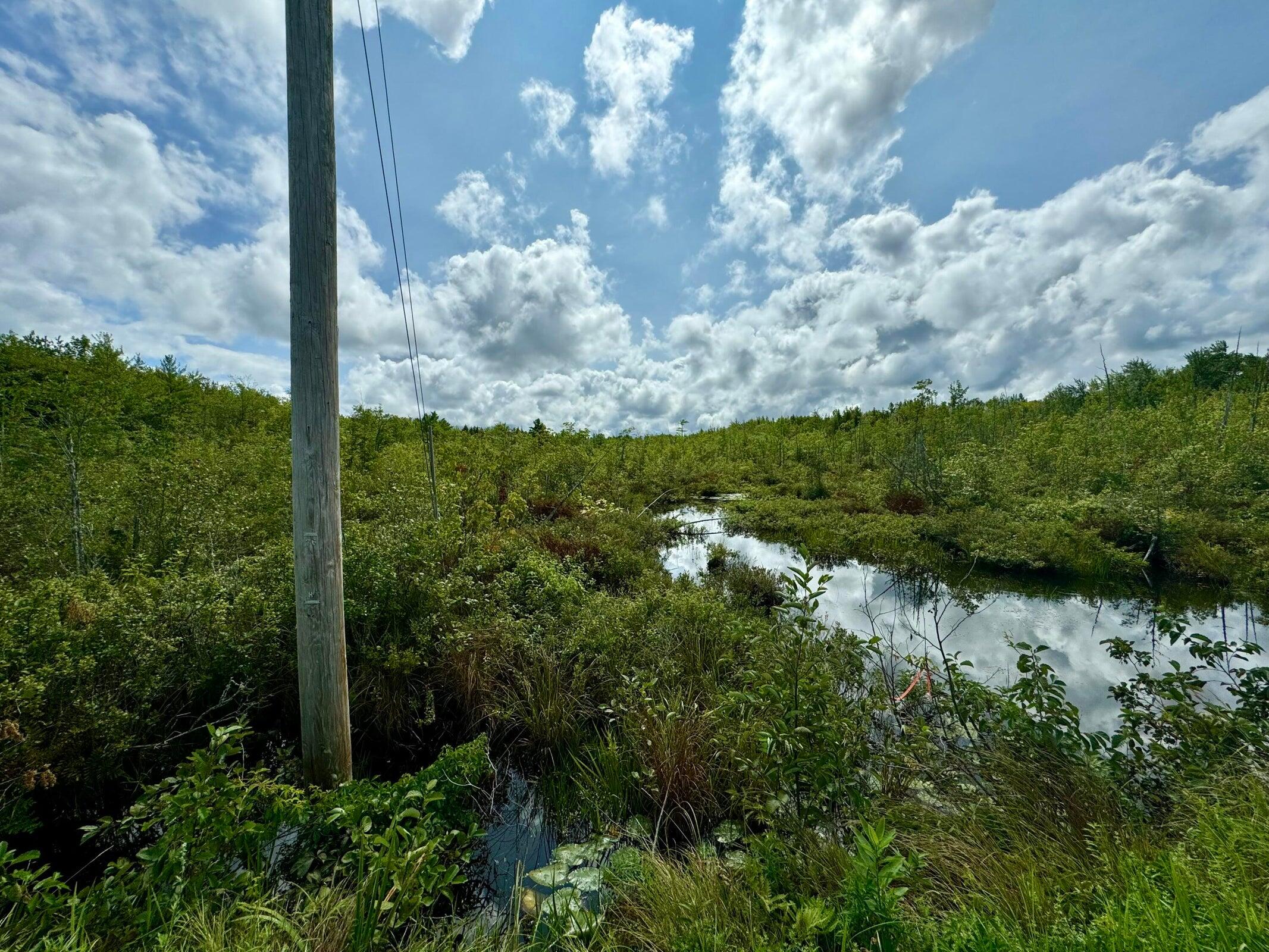 Lot # Hope Road Palmyra, ME 04965 - Photo 6 of 6 20240821174336494856000000-o