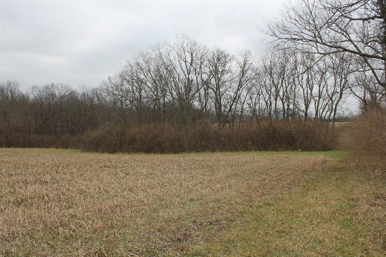 200 Elm Corner Road Versailles, KY 40383 - Photo 6 of 6 Photo 6