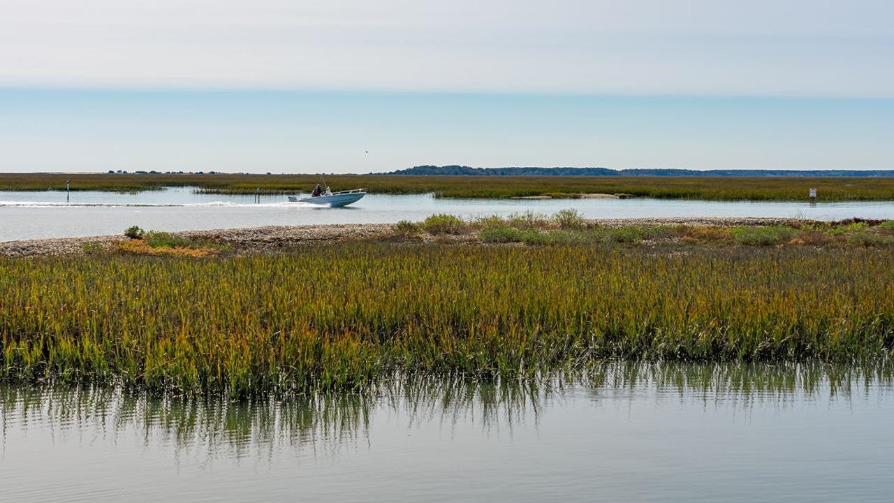 412 Flank Street Myrtle Beach, SC 29588 - Photo 31 of 33