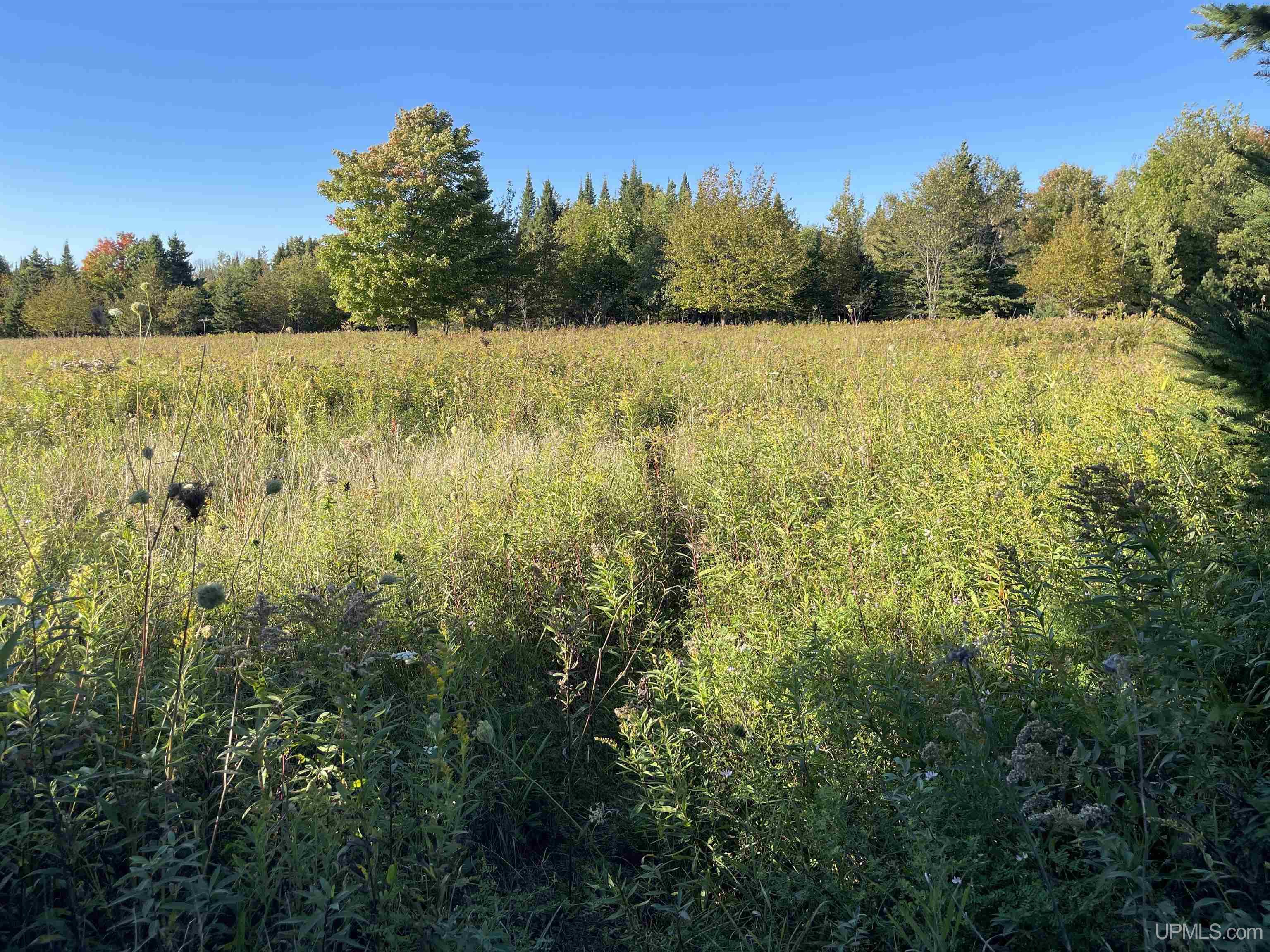 40-acres County Pit Road, Unit PARCEL #4 Manistique, MI 49854 - Photo 19 of 41 Gallery Image 19