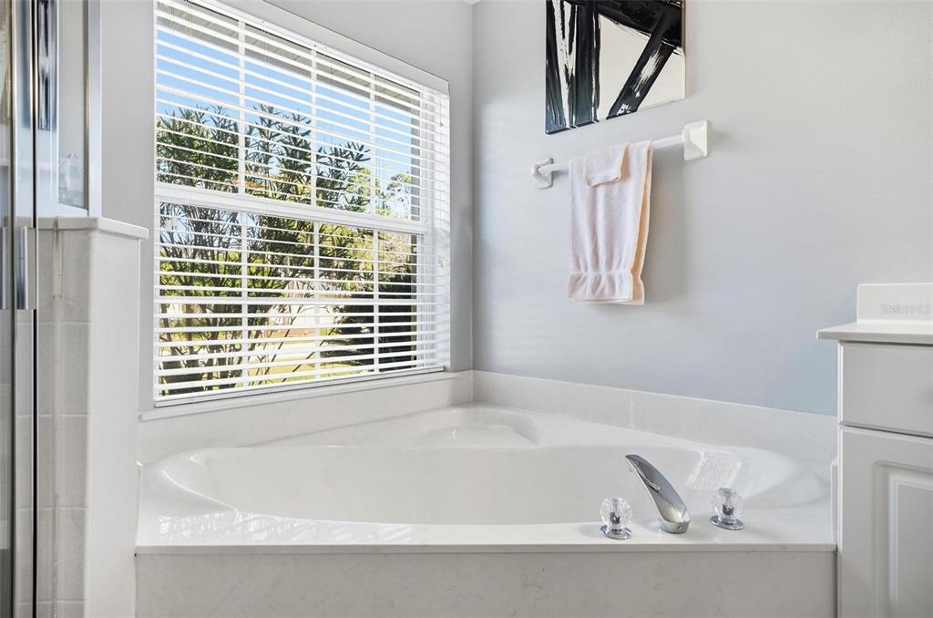 2 Cher Court Palm Coast, FL 32137 - Photo 55 of 64 a white bath tub sitting next to a window