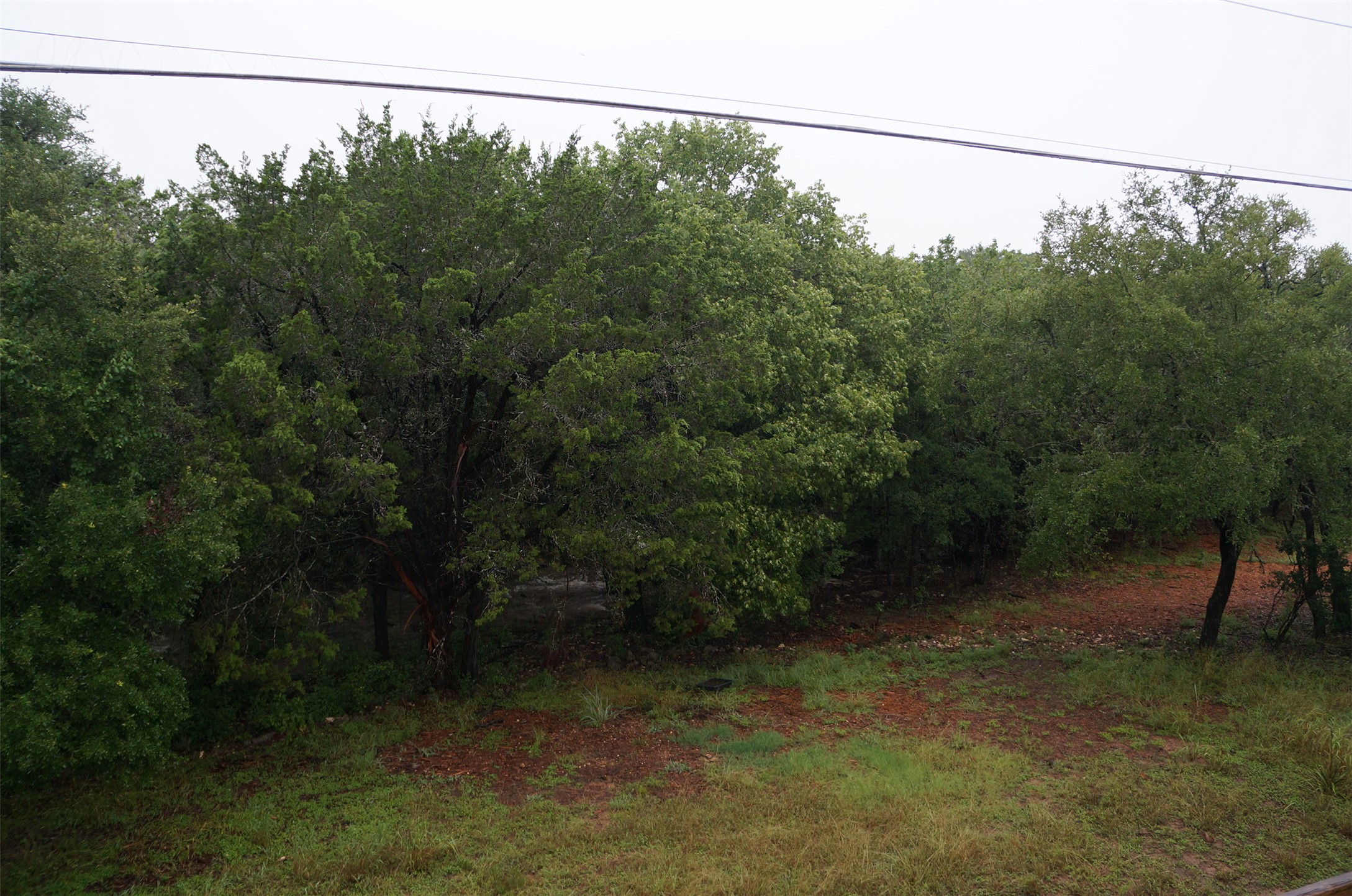 3011 Wadsworth Way Austin, TX 78748 - Photo 25 of 28 a view of a forest
