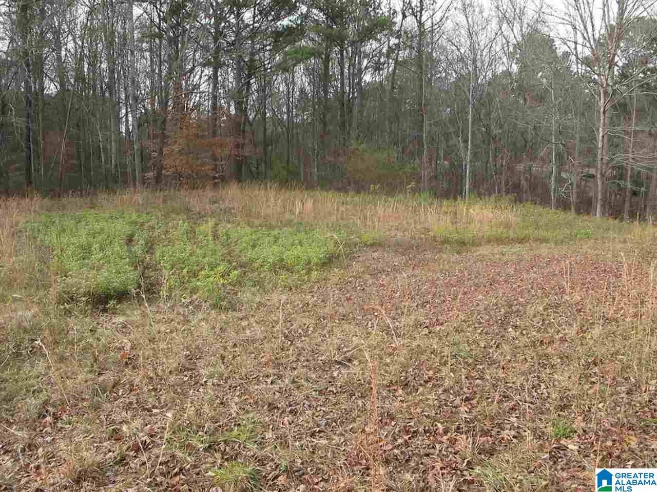 1296 County Road Wedowee, AL 36278 - Photo 6 of 8
