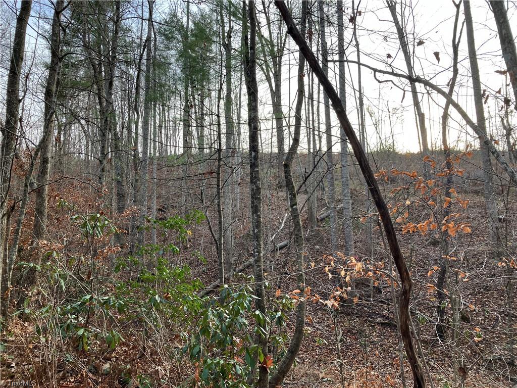 0 Joyce Mill Road Westfield, NC 27053 - Photo 7 of 7 Gallery Image 7