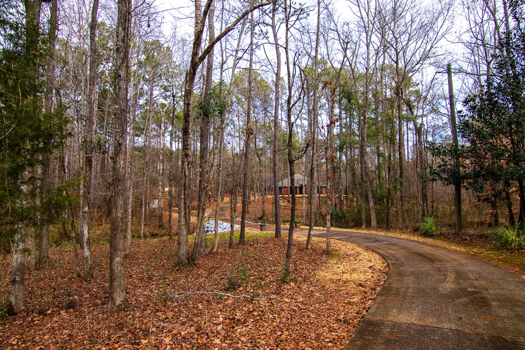 454 Plantation Creek Road Fortson, GA 31808 - Photo 59 of 60 Gallery Image 59