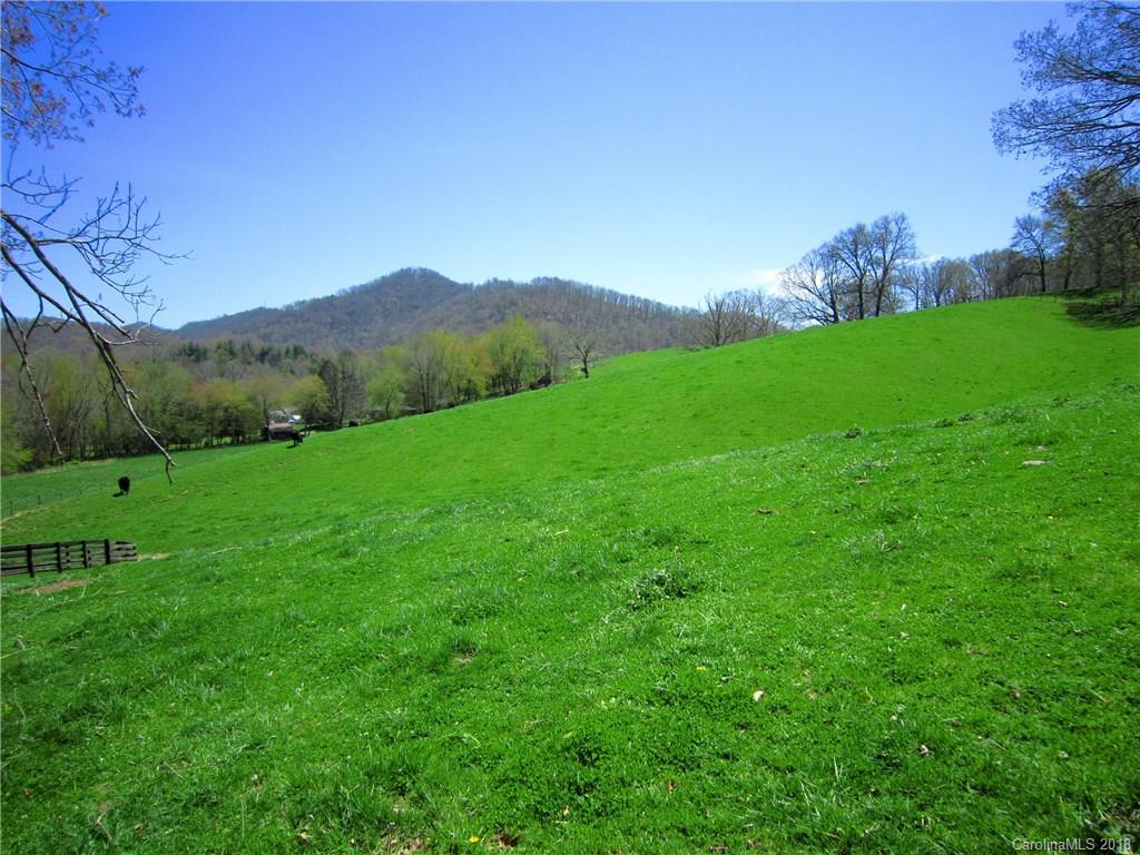 266 Murray Road Canton, NC 28716 - Photo 35 of 36 a view of a lush green space with sea