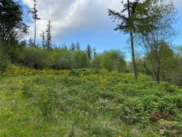 a view of a garden with a tree