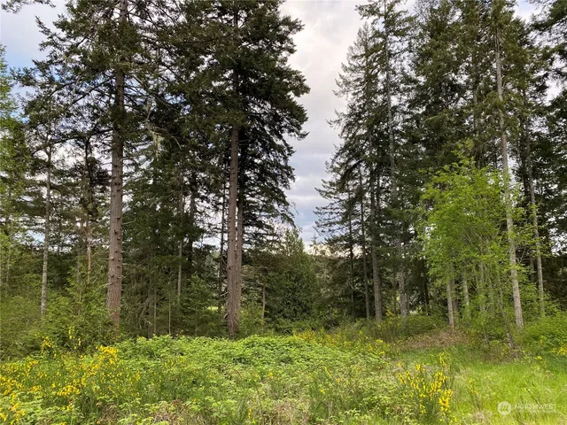 a backyard of a house with lots of green space and lake view