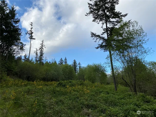 a view of a city with lush green forest
