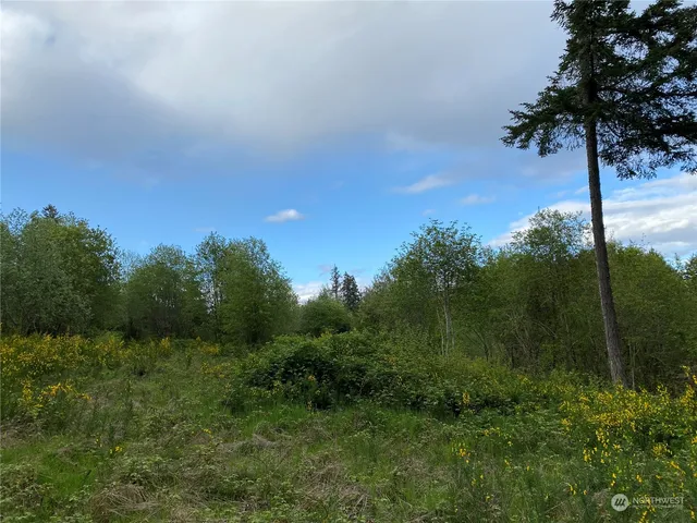 a view of a field with a tree in the background