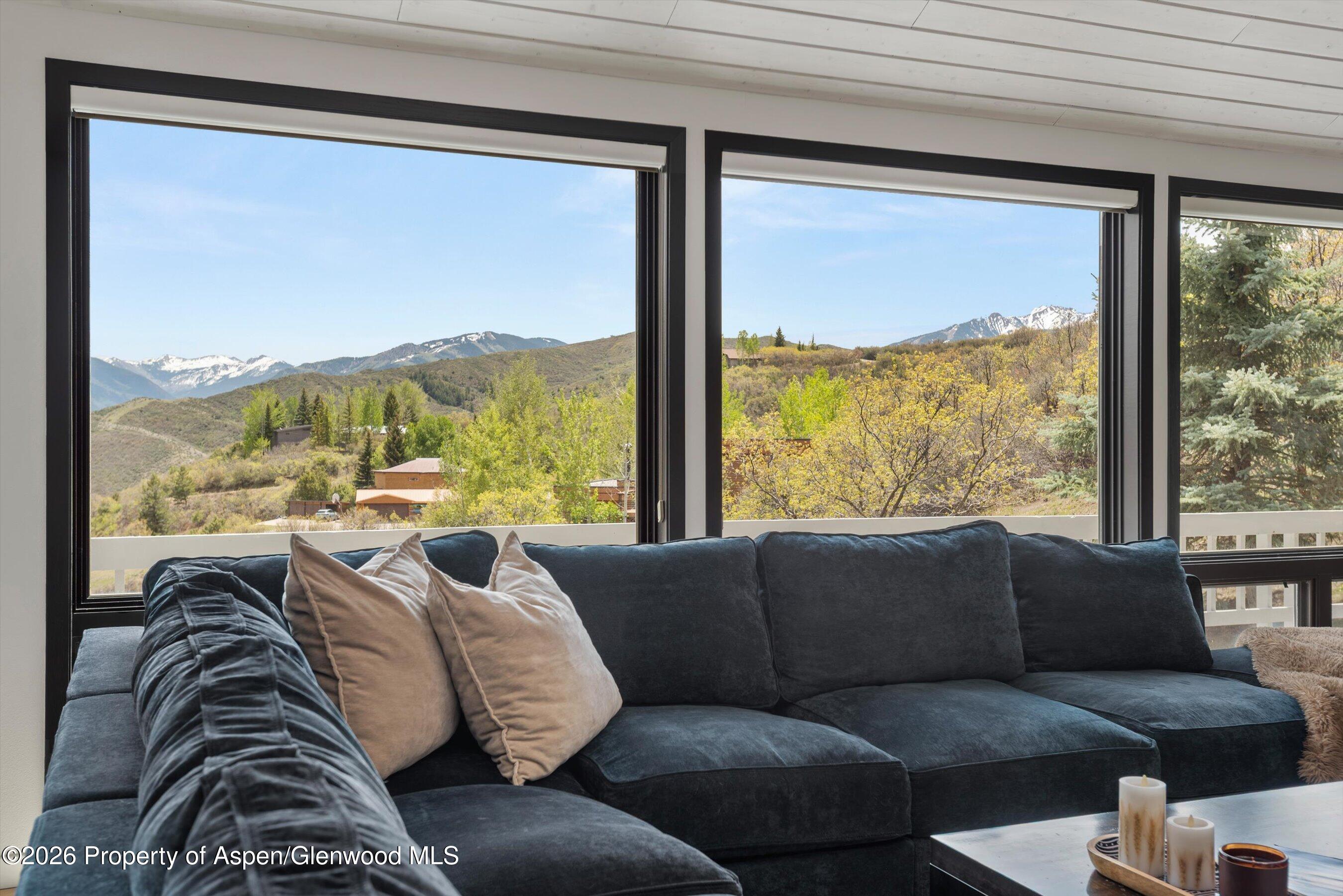 450 Solar Way Aspen, CO 81611 - Photo 5 of 64 Living Room