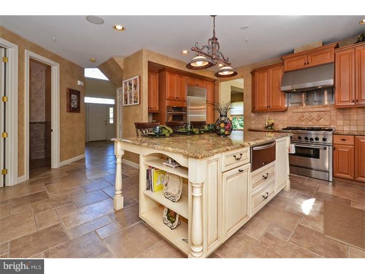 2521 Lockleigh Road Jamison, PA 18929 - Photo 8 of 25 Kitchen