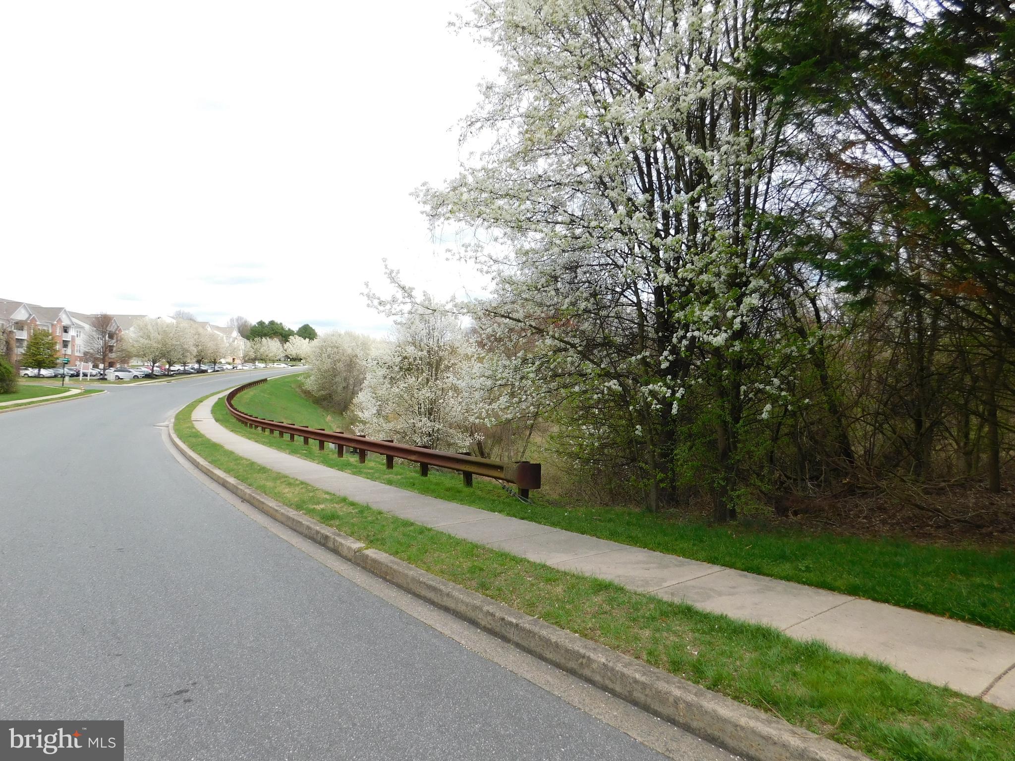 1708 Ross Road Forest Hill, MD 21050 - Photo 54 of 54 Street view coming into the Community.