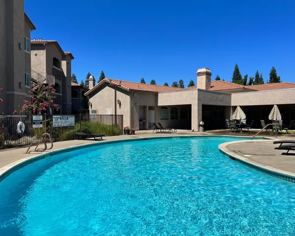 a view of a flowers in a garden