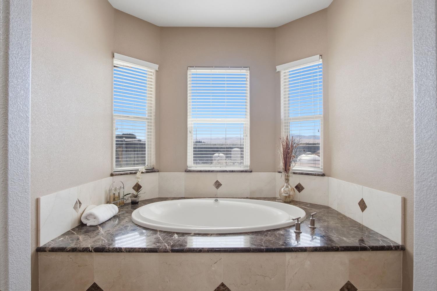 32521 South Koster Road Tracy, CA 95304 - Photo 31 of 82 Gallery Image 31