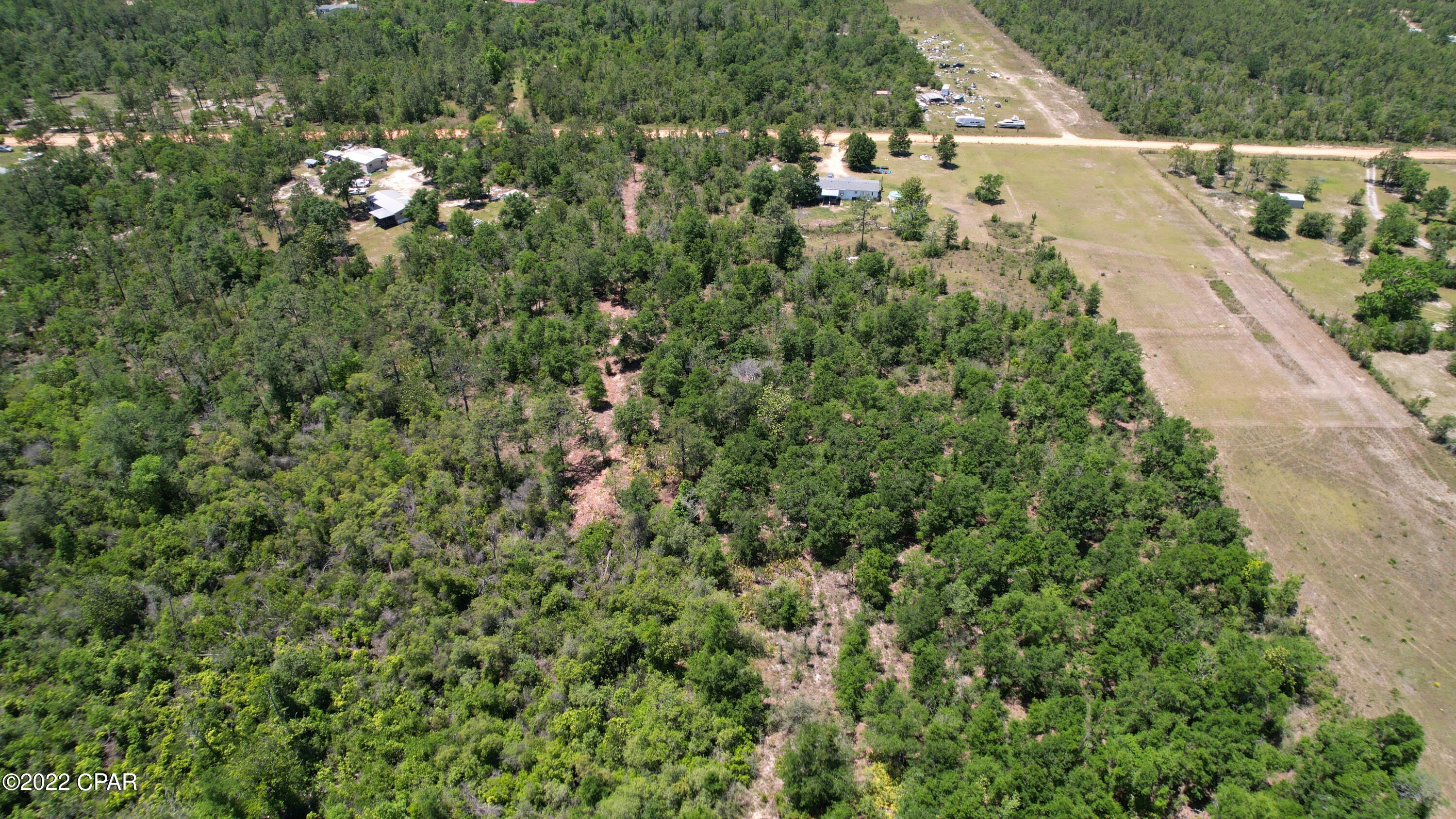 0 Diddly Road Chipley, FL 32428 - Photo 12 of 25 Gallery Image 12