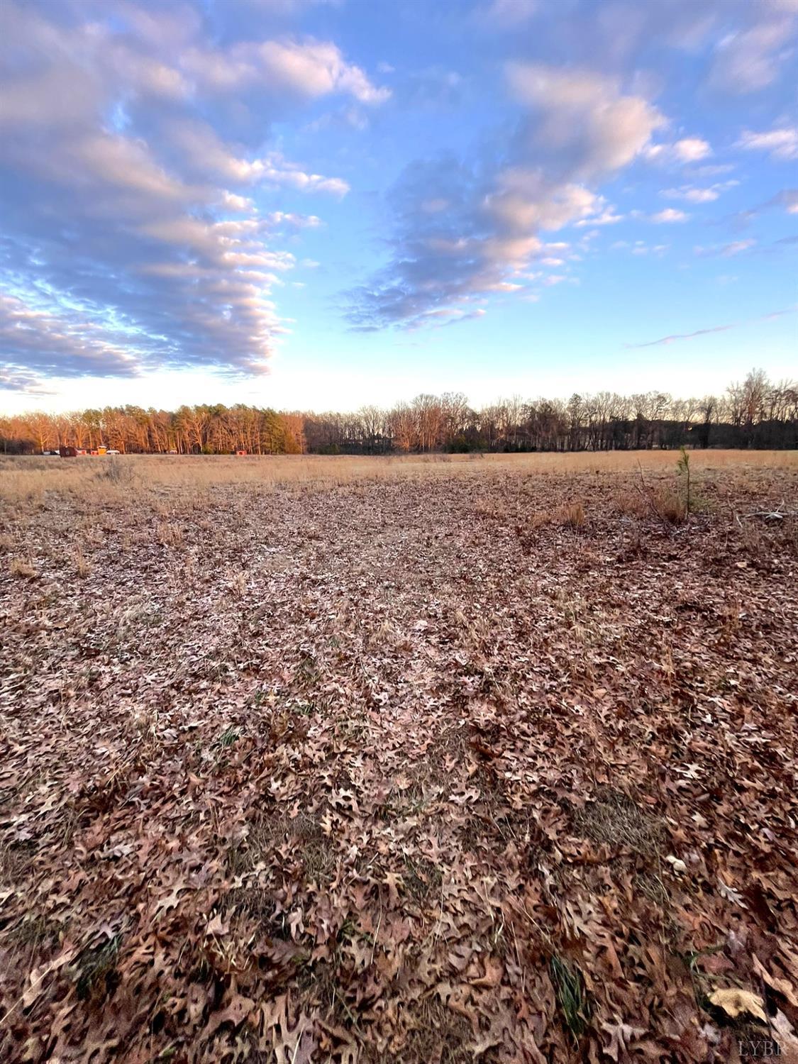6 Gilliam Road Brookneal, VA 24528 - Photo 5 of 10 Gallery Image 5