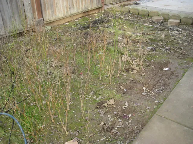 $664,000 | 9410 Rose Court, Live Oak, CA 95953