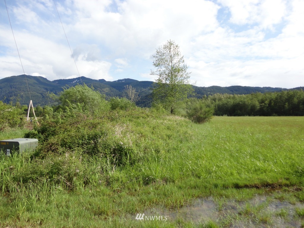 0 Chapman Road Randle, WA 98377 - Photo 11 of 11 Gallery Image 11