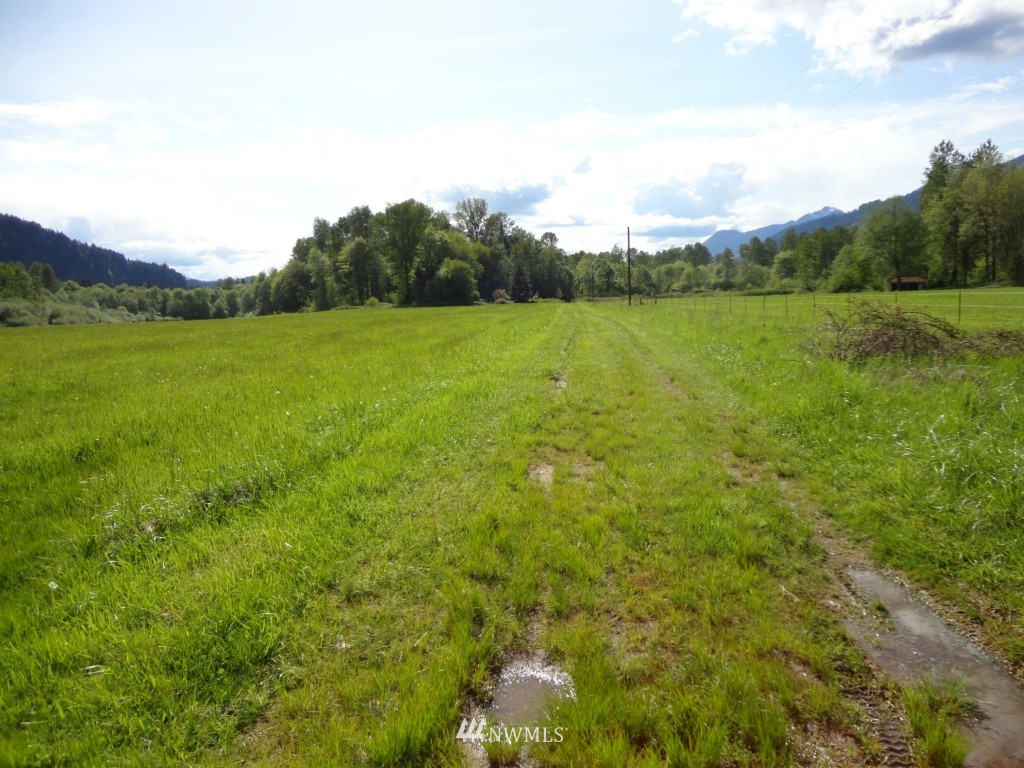 0 Chapman Road Randle, WA 98377 - Photo 8 of 11 Gallery Image 8