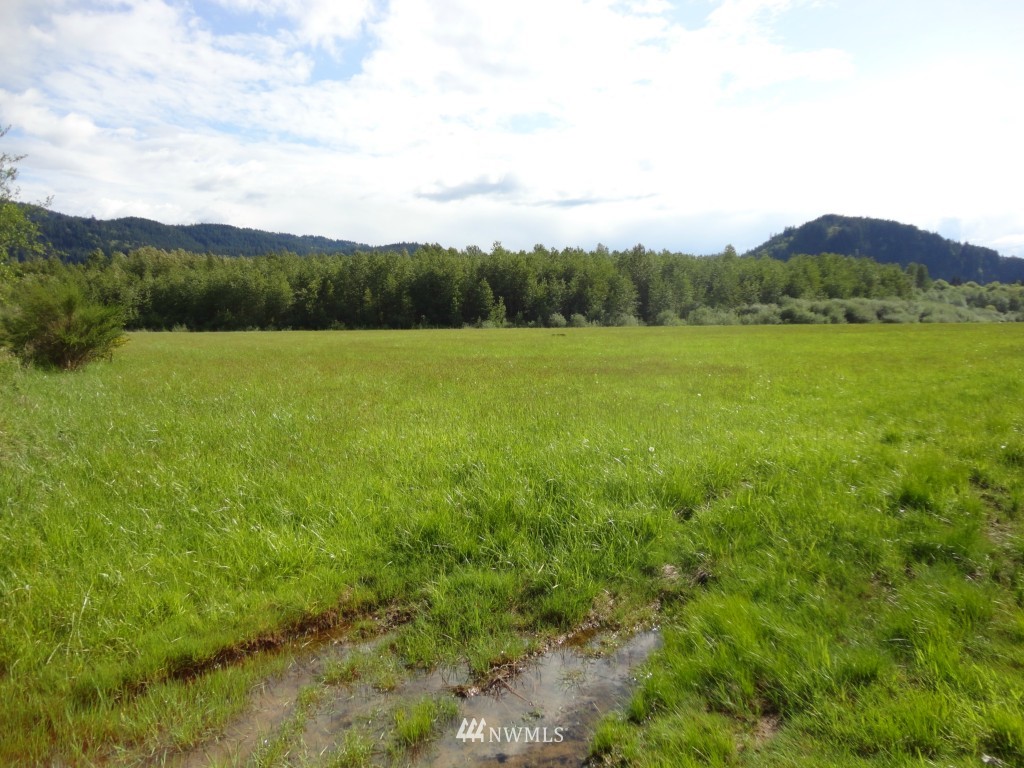 0 Chapman Road Randle, WA 98377 - Photo 10 of 11 Gallery Image 10