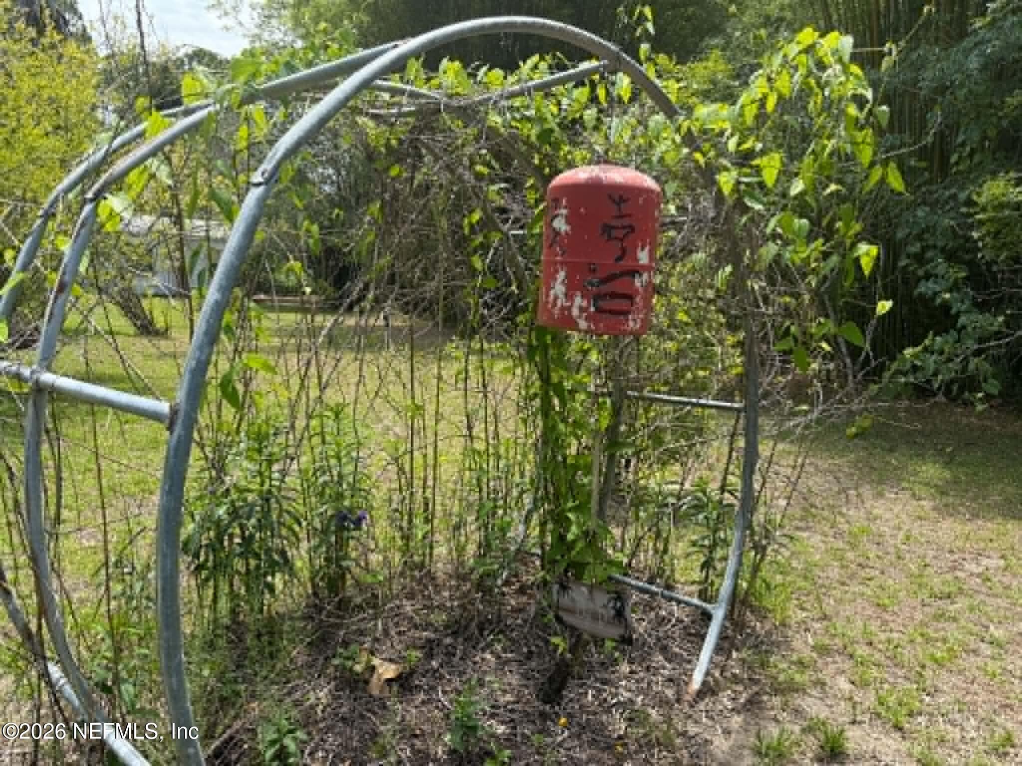 508 Georgetown Shortcut Road Georgetown, FL 32139 - Photo 28 of 32 c4cfd4c2-5662-4ea6-a9c0-e472c67bd4db