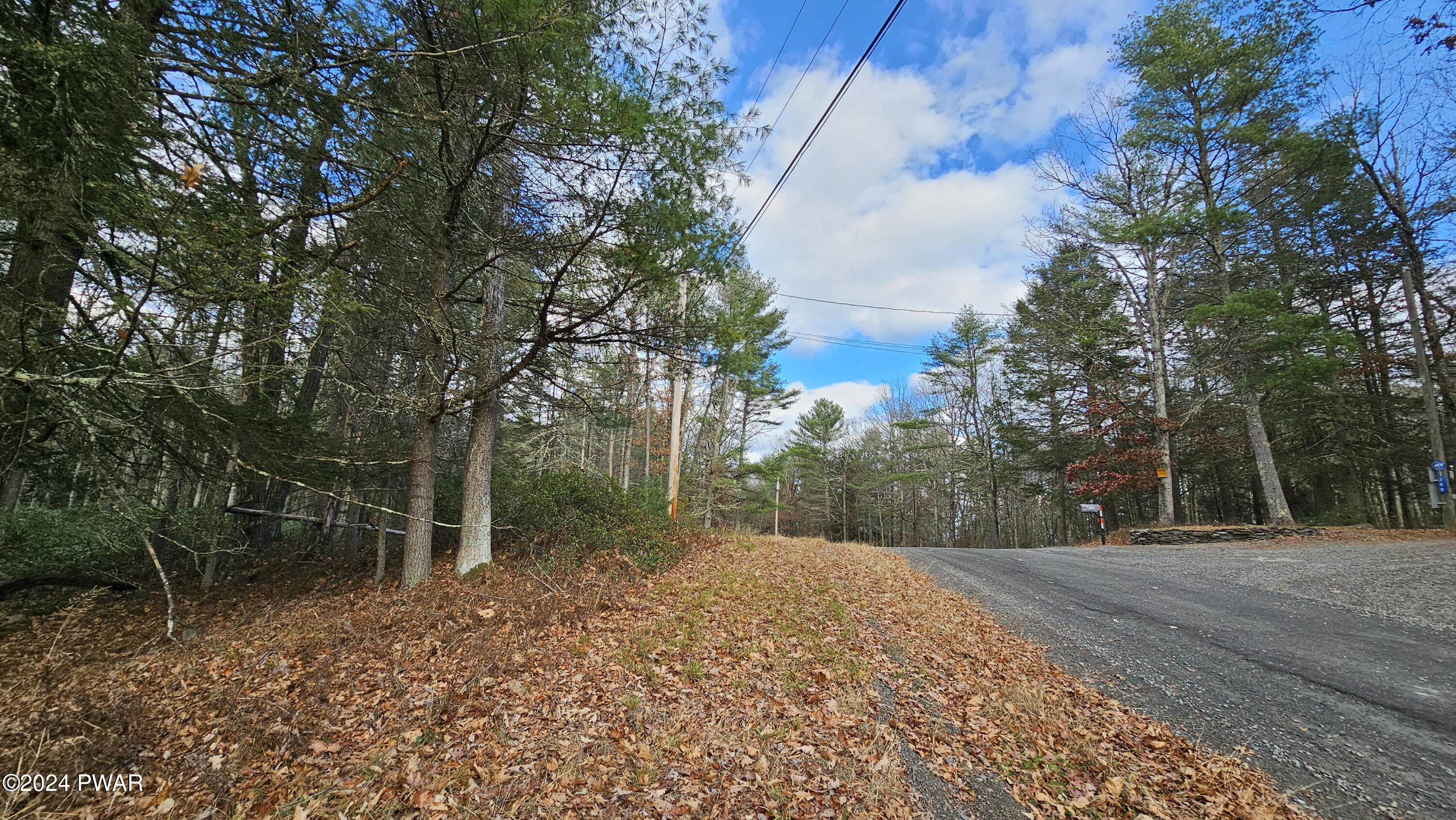 Lot 59 Perry Pond Road Narrowsburg, NY 12764 - Photo 6 of 14 20241111_140701
