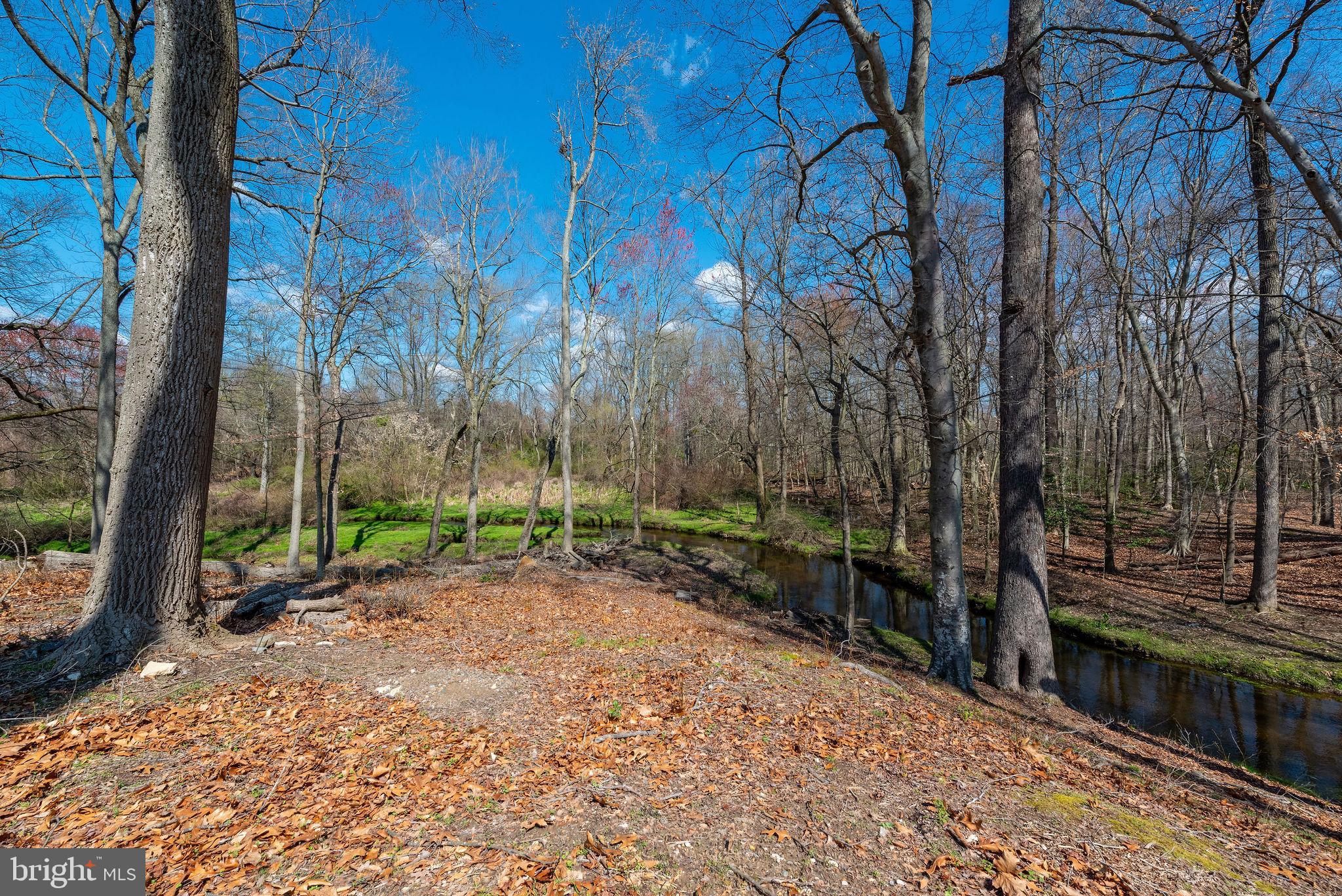 404 Case Ridge Road Dover, DE 19901 - Photo 61 of 70 Gallery Image 61