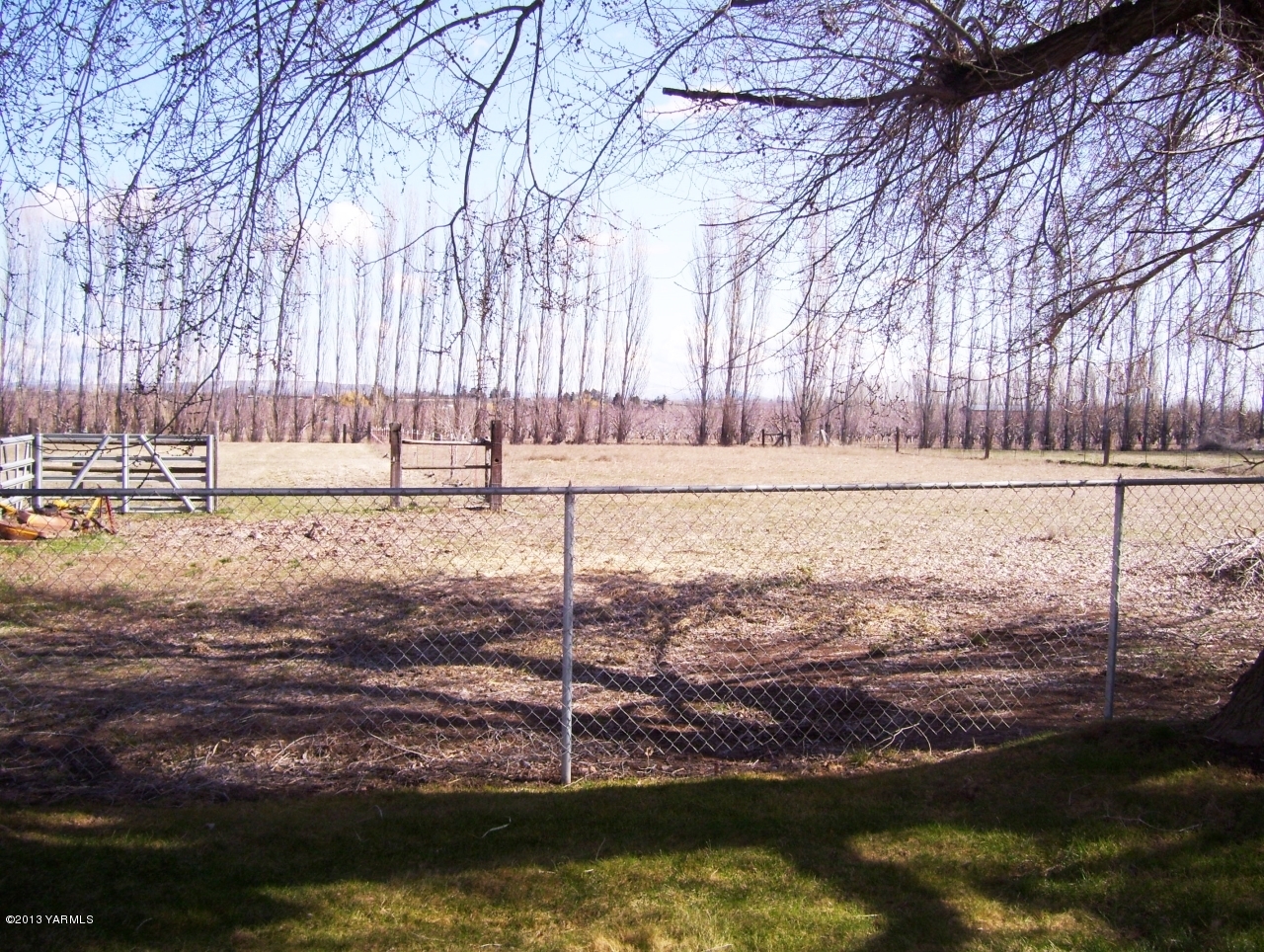 1401 Franklin Road Tieton, WA 98947 - Photo 20 of 20 a view of a yard with trees