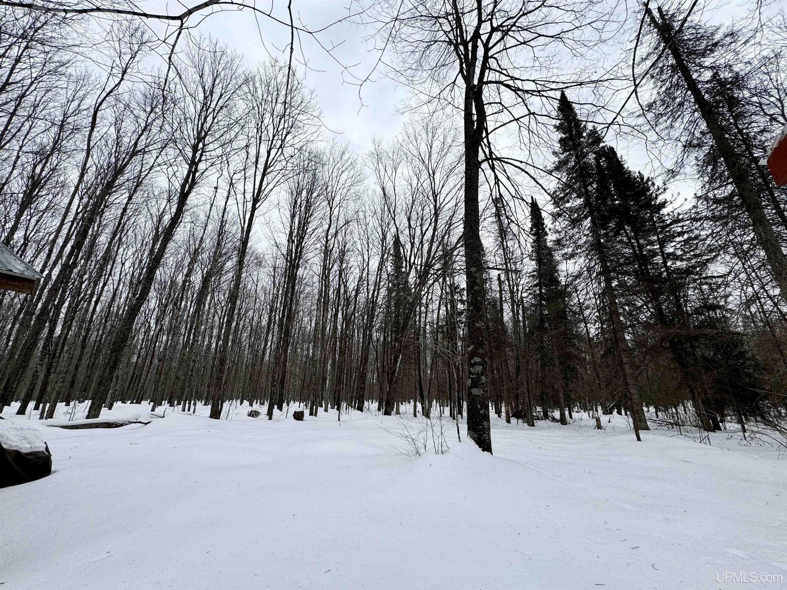 Tbd Off North Road Perkins, MI 49872 - Photo 32 of 48 Gallery Image 32