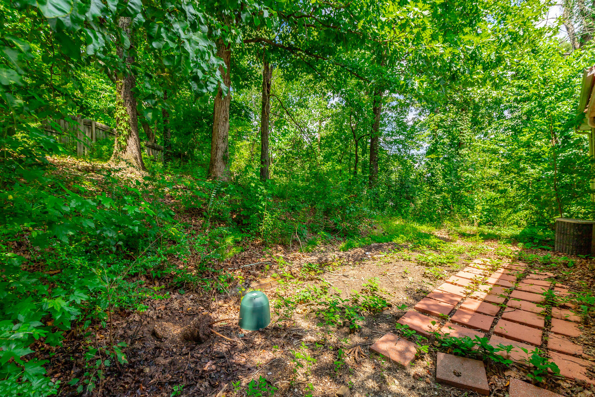 1315 Coffelt Road Hixson, TN 37343 - Photo 54 of 55 1315 Coffelt Road HD-54