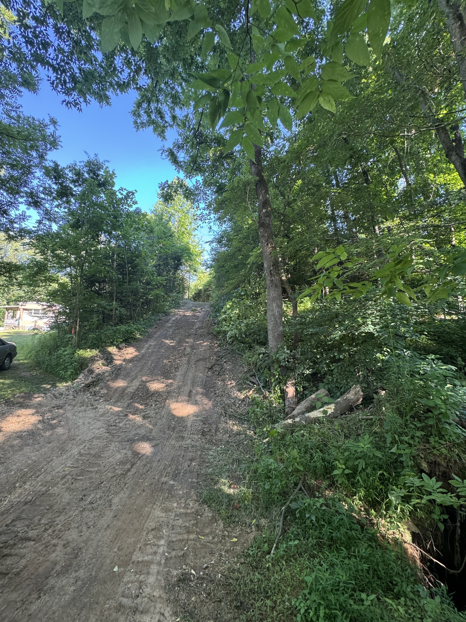 2533 Webb Hollow Road Williamsport, TN 38487 - Photo 11 of 36 a view of forest